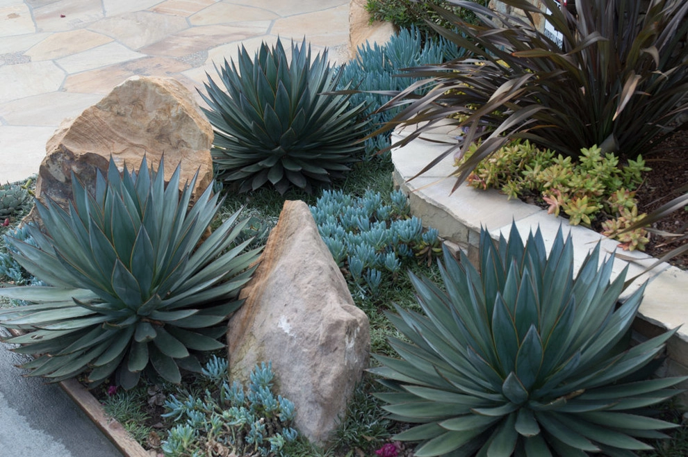 Leucadia Coastal Design & Installation by Barrels & Branches - Photo 13