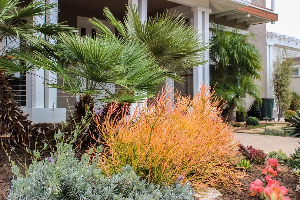 Solana Beach Contemporary Design & Installation by Barrels & Branches - Photo 7