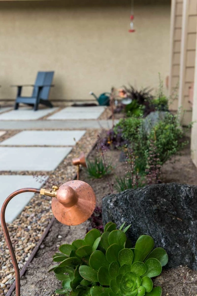 Carlsbad, Landscape Renovation by Barrels & Branches - Photo 6