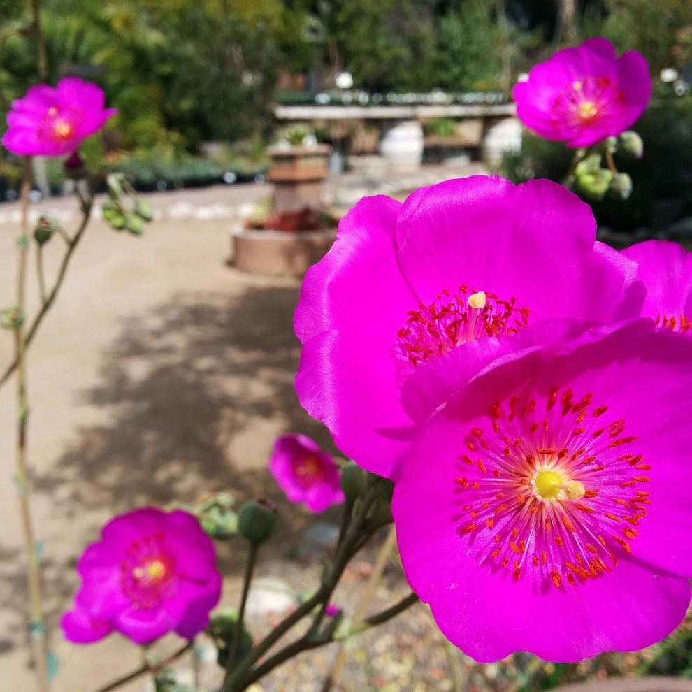 In The Nursery by Barrels & Branches - Photo 13