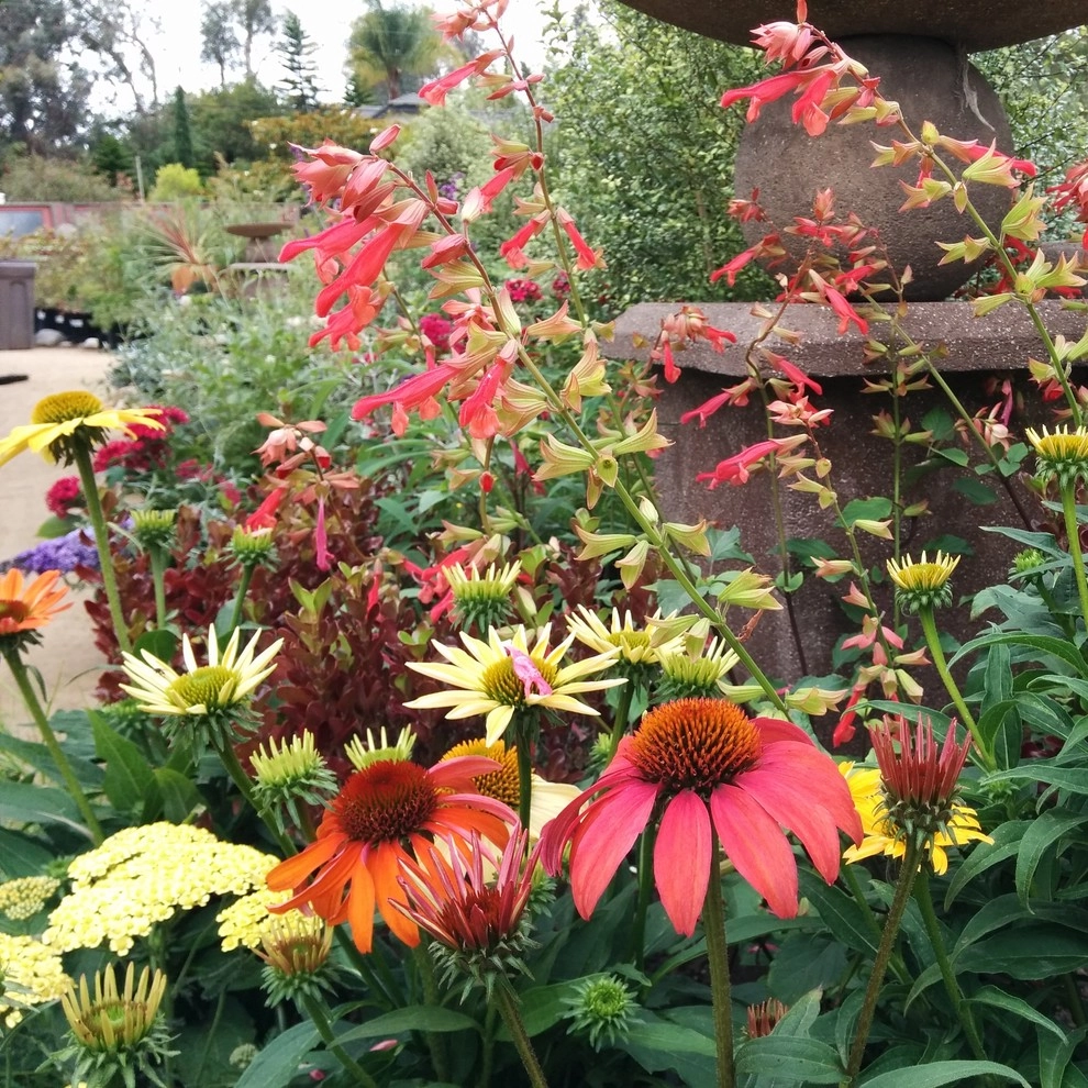In The Nursery by Barrels & Branches - Photo 62