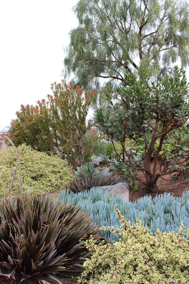 Solana Beach Contemporary Design & Installation by Barrels & Branches - Photo 9