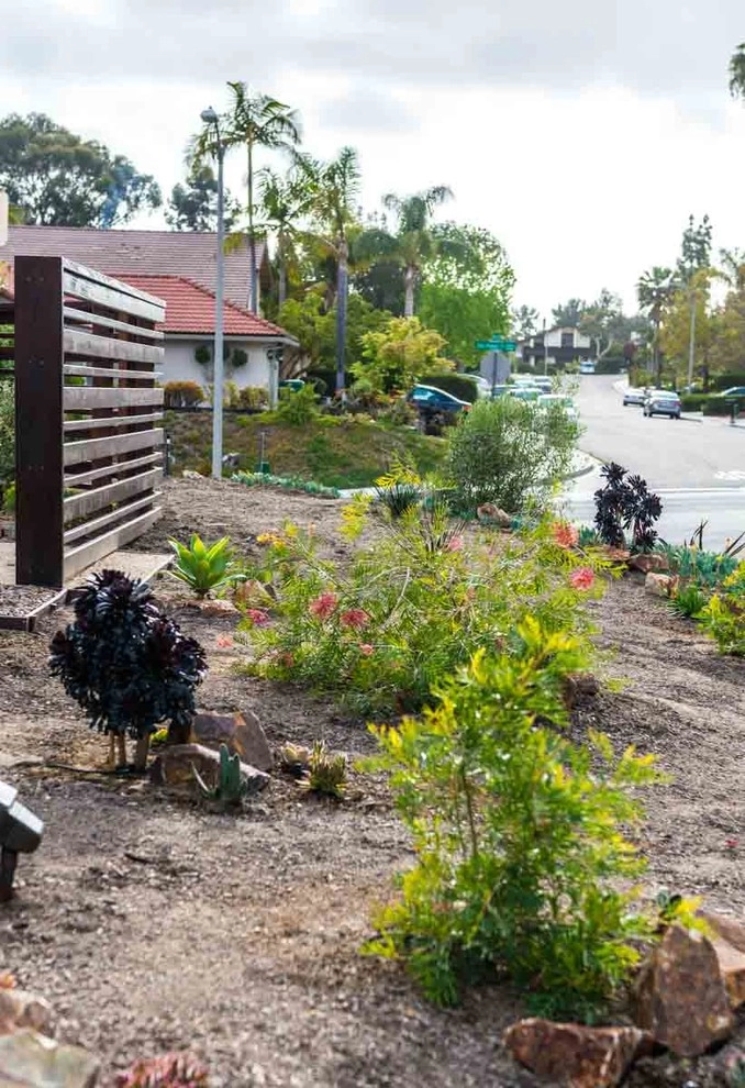 Carlsbad, Landscape Renovation by Barrels & Branches - Photo 2