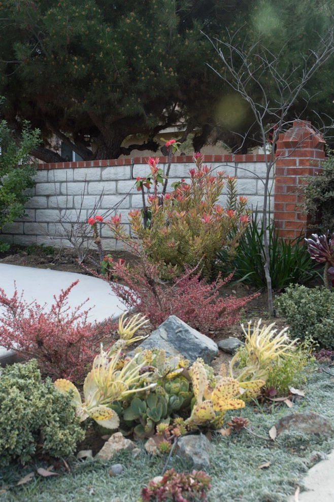 Encinitas Ranch Lawn Removal/Design/Installation by Barrels & Branches - Photo 3