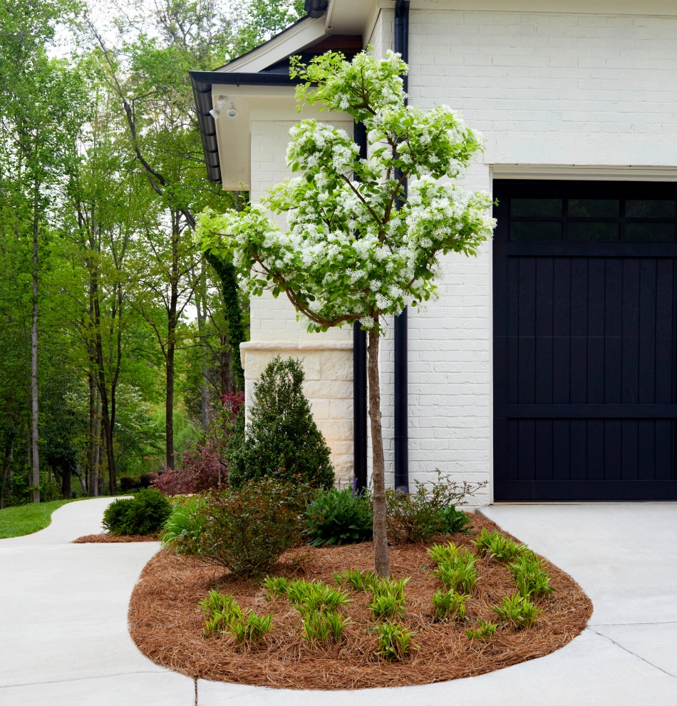 Brackenbury Residence by TG&R Landscape Group - Photo 2