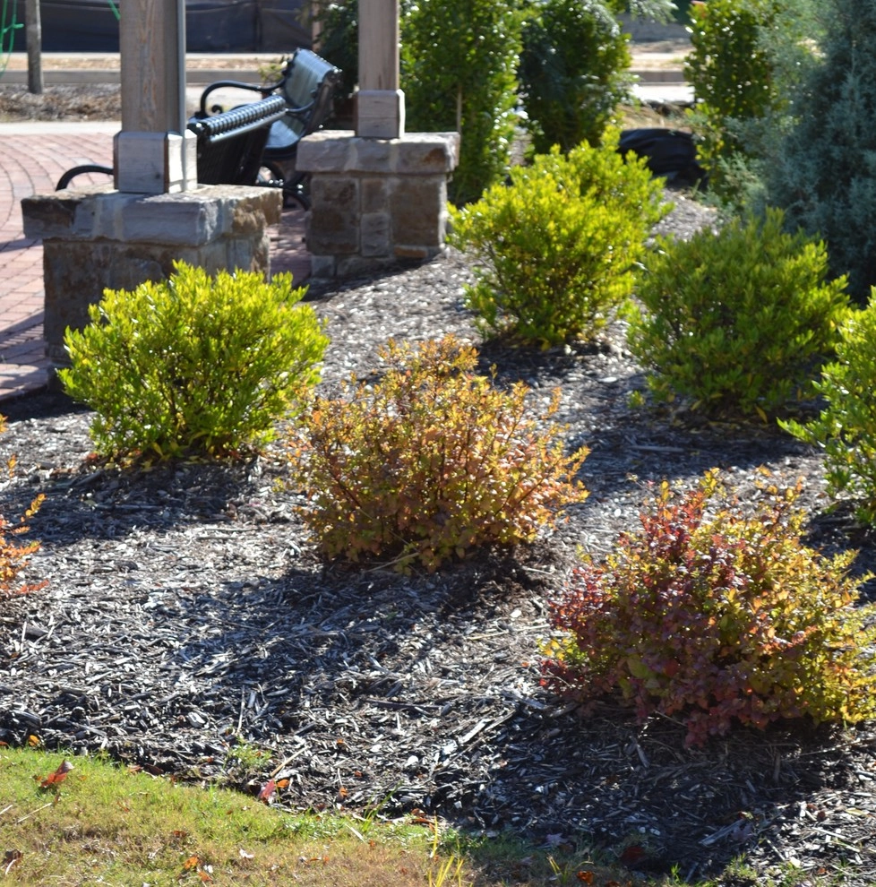 Daphne Circle Park by TG&R Landscape Group - Photo 6
