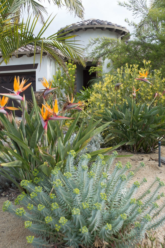 Carlsbad Tropical Design & Installation by Barrels & Branches - Photo 5