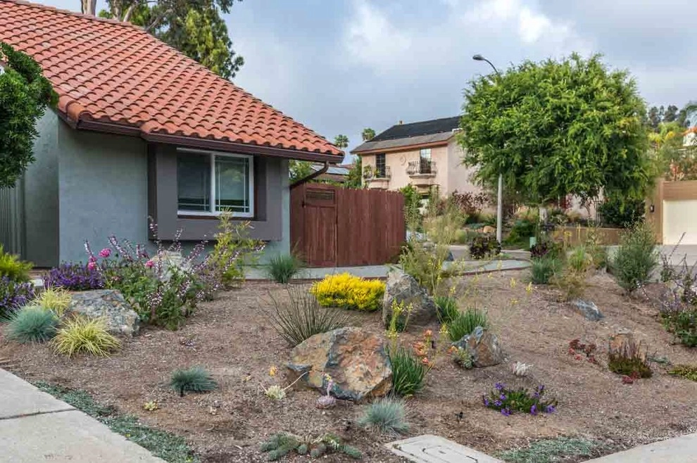 Encinitas, Modernized Front Yard Landscape by Barrels & Branches - Photo 5