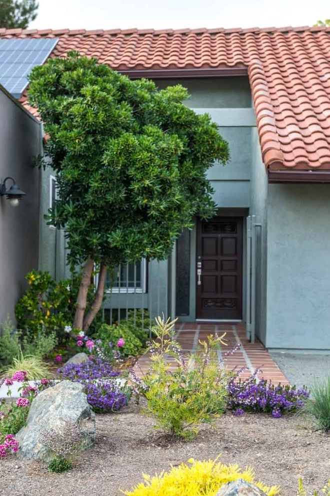 Encinitas, Modernized Front Yard Landscape by Barrels & Branches - Photo 10