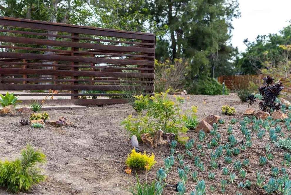 Barrels & Branches - Photo 9