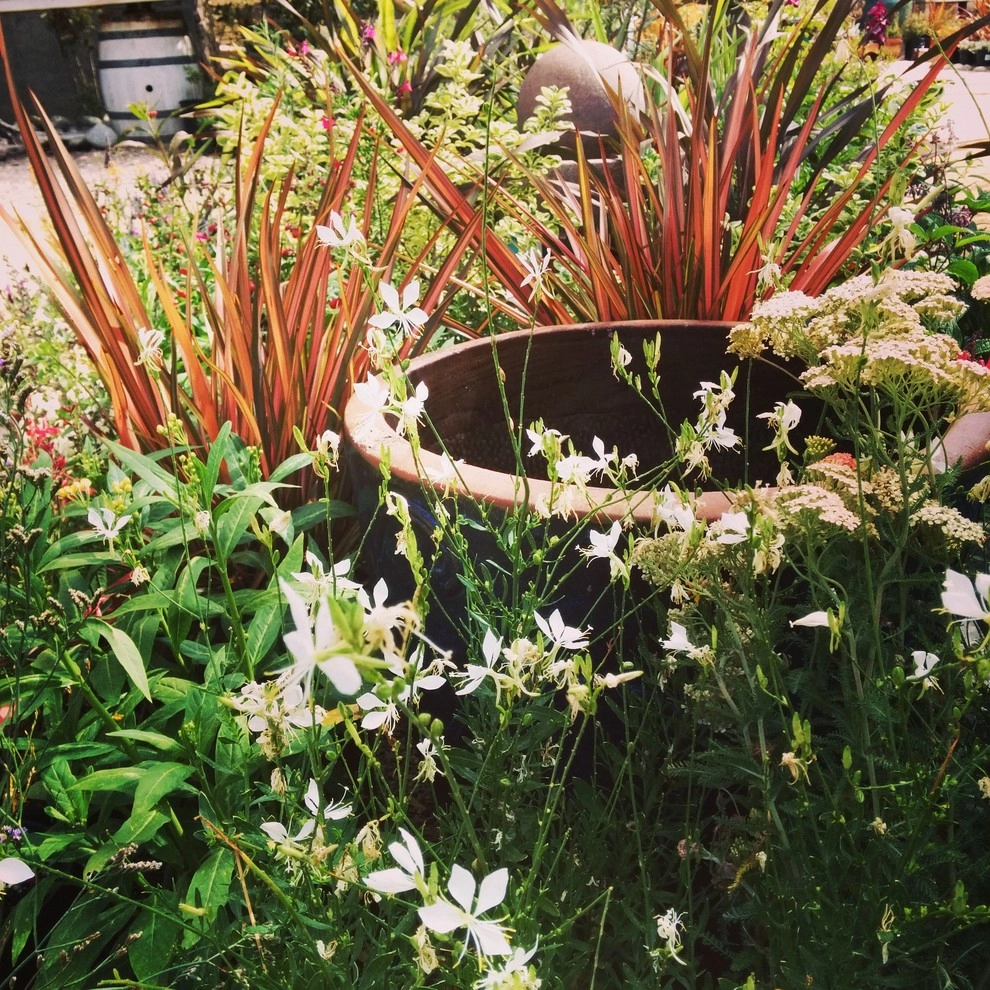 In The Nursery by Barrels & Branches - Photo 52