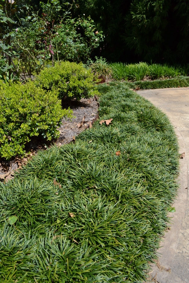 Billess Residence by TG&R Landscape Group - Photo 5