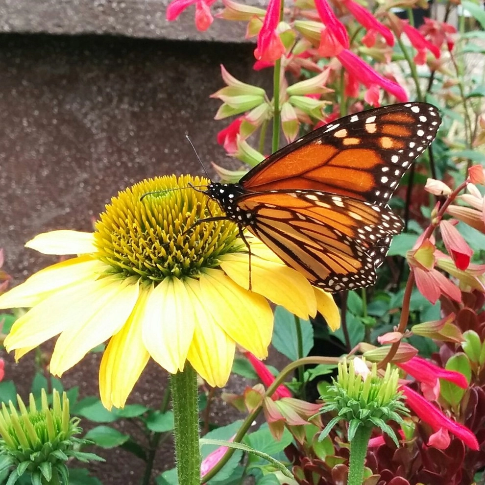 In The Nursery by Barrels & Branches - Photo 50