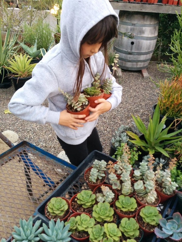 In The Nursery by Barrels & Branches - Photo 63