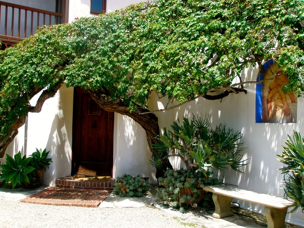 Mesa Road, Montecito by The Aldrich Company - Landscape Design - Photo 10