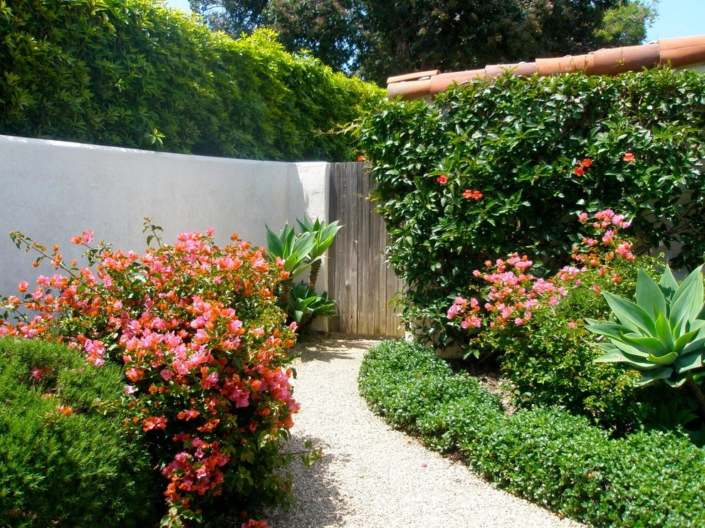 Mesa Road, Montecito by The Aldrich Company - Landscape Design - Photo 9