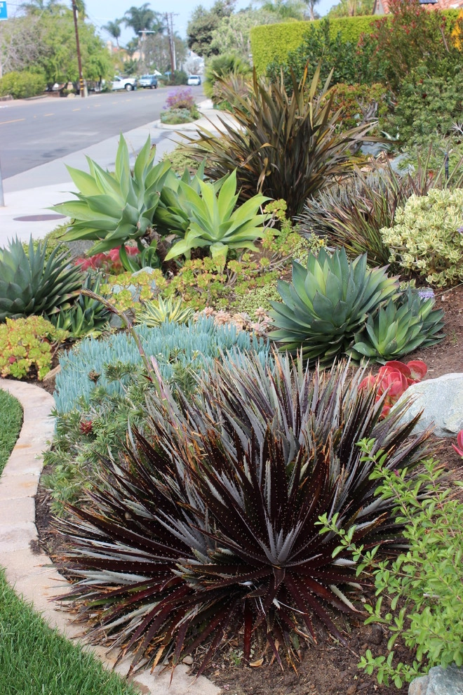 Solana Beach Contemporary Design & Installation by Barrels & Branches - Photo 5