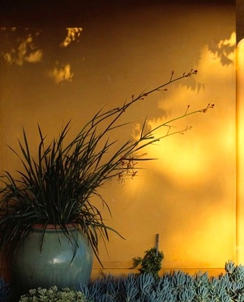 Hidden Valley Lane, Montecito by The Aldrich Company - Landscape Design - Photo 10