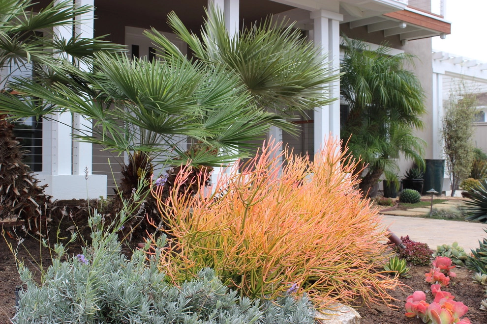 Solana Beach Contemporary Design & Installation by Barrels & Branches - Photo 11