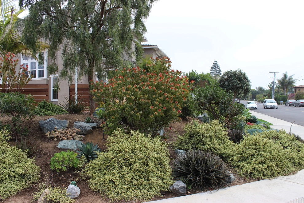 Solana Beach Contemporary Design & Installation by Barrels & Branches - Photo 4