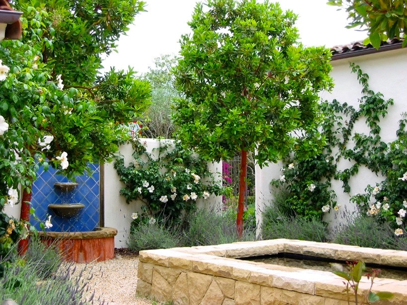 Mesa Road, Montecito by The Aldrich Company - Landscape Design - Photo 4