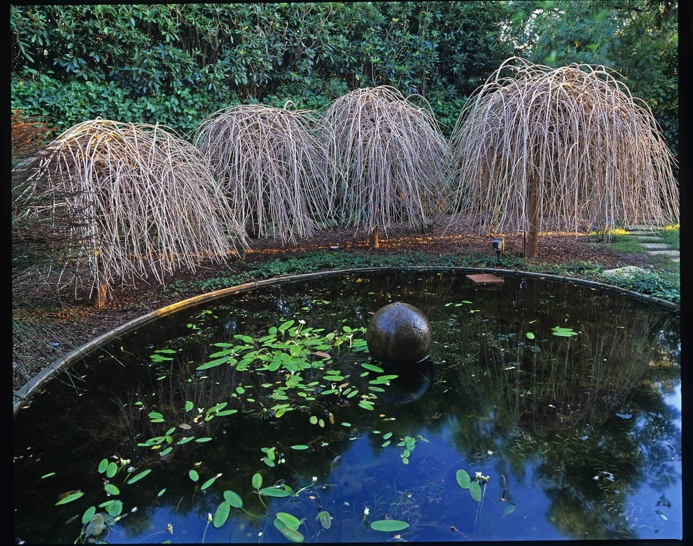 San Ysidro Lane, Montecito by The Aldrich Company - Landscape Design - Photo 6