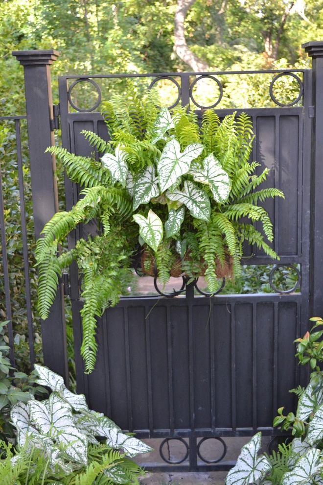 Landscape Design by Brumley Gardens - Photo 5
