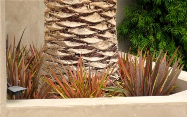 Padero Lane, Carpinteria by The Aldrich Company - Landscape Design - Photo 4