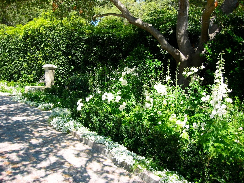 San Ysidro Lane, Montecito by The Aldrich Company - Landscape Design - Photo 4