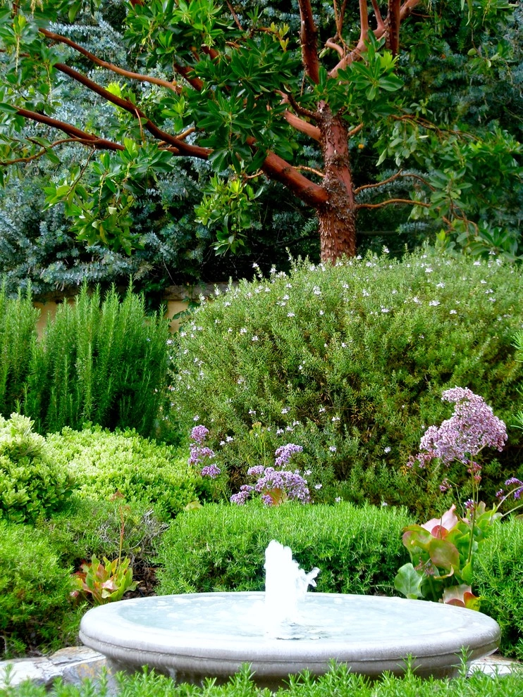 Alcala Lane, Montecito by The Aldrich Company - Landscape Design - Photo 3