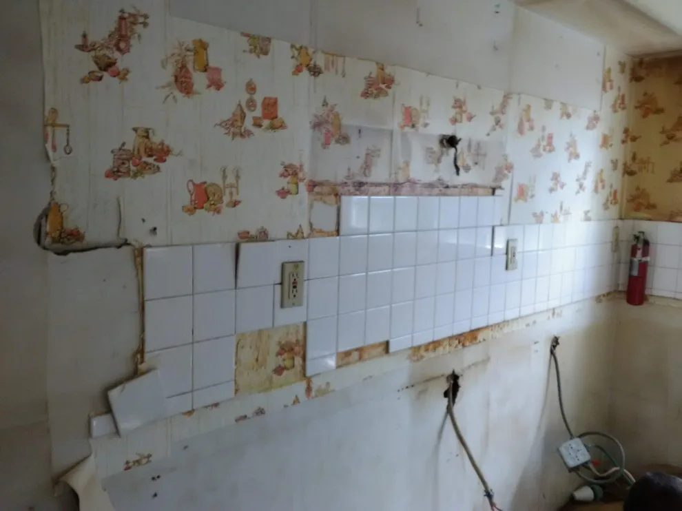 home renovation tasks by Godwin Construction LLC - Photo 6