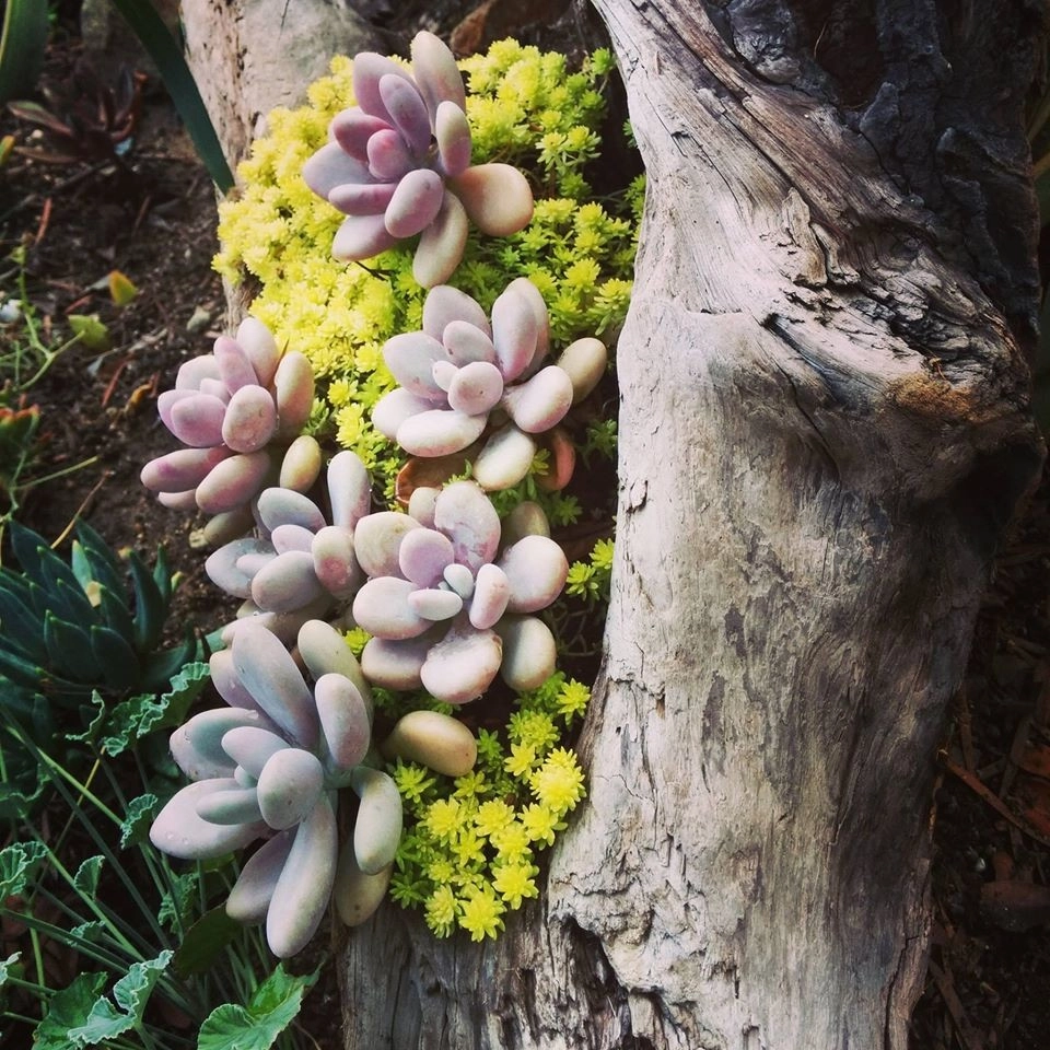 In The Nursery by Barrels & Branches - Photo 7