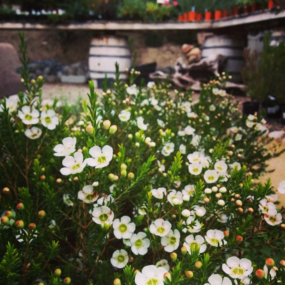 In The Nursery by Barrels & Branches - Photo 21