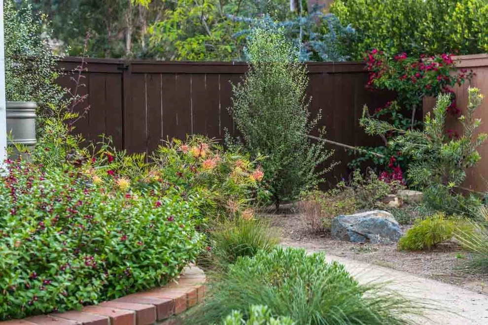 Encinitas, Lawn Removal by Barrels & Branches - Photo 6