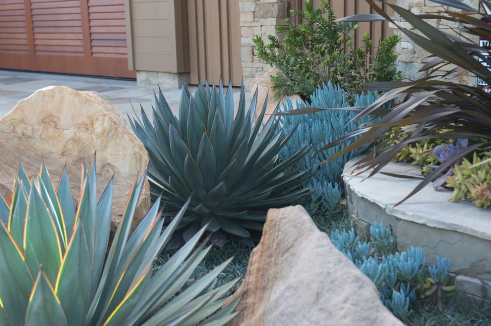 Leucadia Coastal Design & Installation by Barrels & Branches - Photo 2