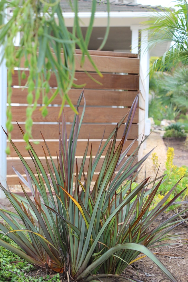 Solana Beach Contemporary Design & Installation by Barrels & Branches - Photo 16