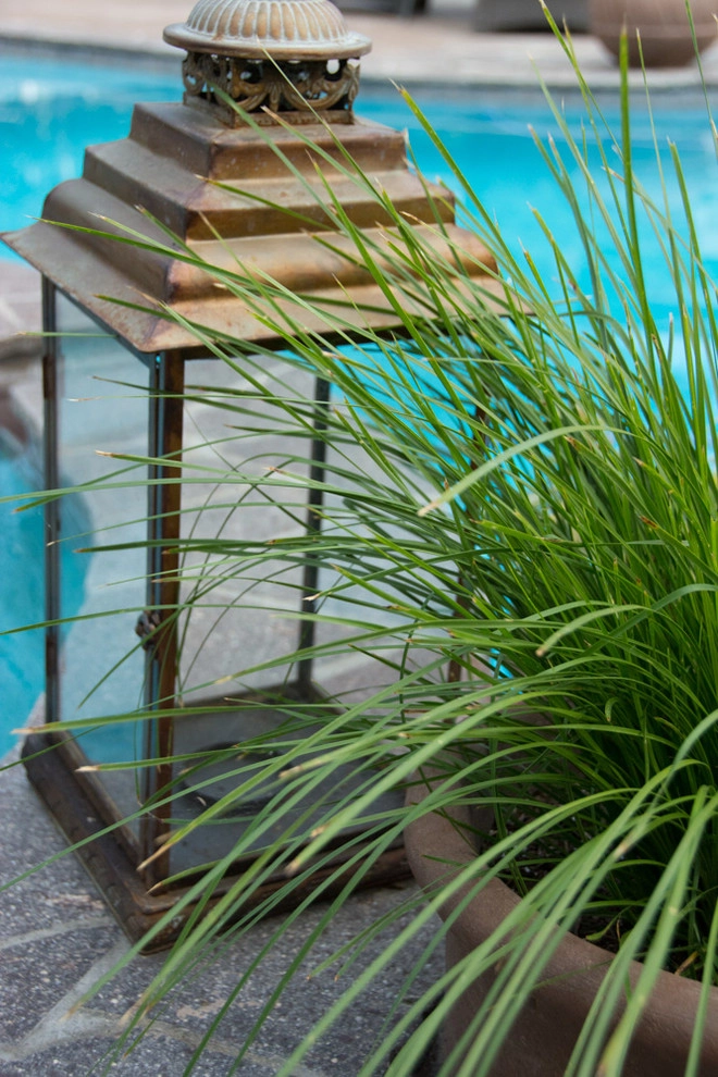 Encinitas Provencal Design & Installation by Barrels & Branches - Photo 9