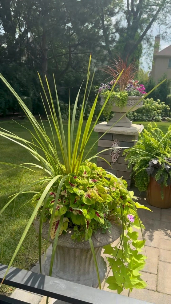 Total Transformation: A Stunning Landscape Revitalization in Glenview by The Bravo's Landscape Inc. - Photo 4