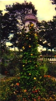 Vineyard Herb Garden by The Coastal Landscape - Photo 2