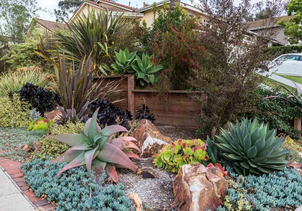 Encinitas, Front & Back Yard Lawn Conversion by Barrels & Branches - Photo 6