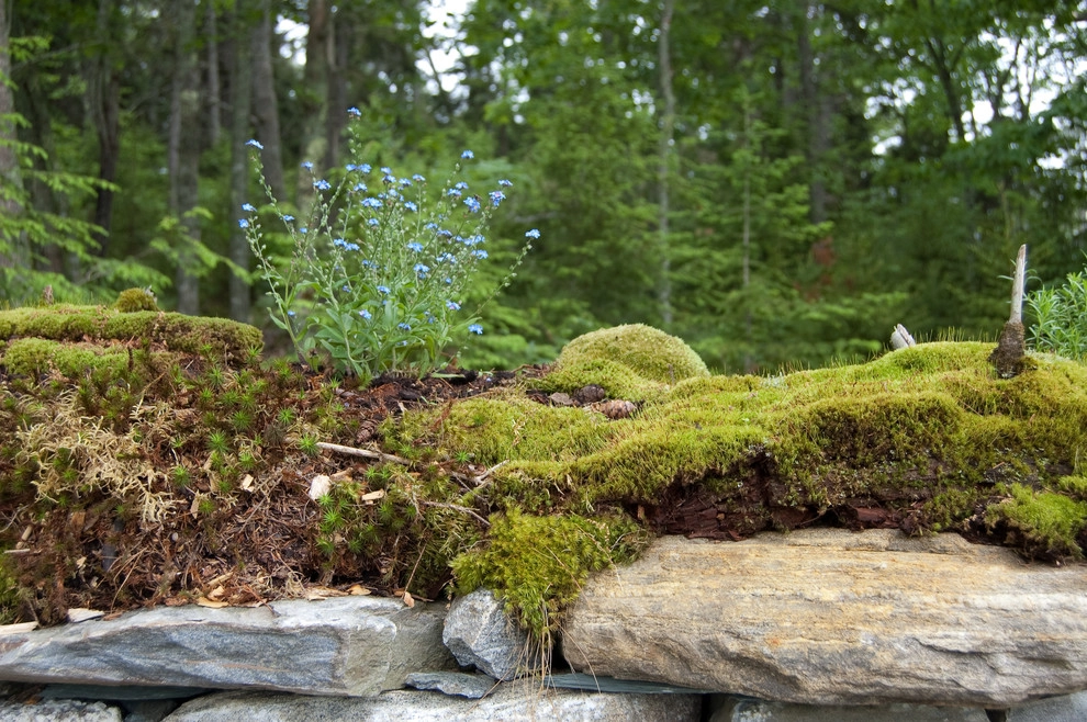 The Coastal Landscape - Photo 3