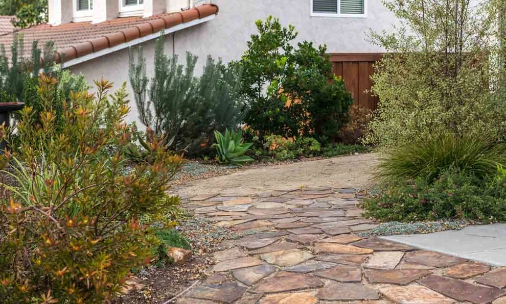 Encinitas, Front & Back Yard Lawn Conversion by Barrels & Branches - Photo 7