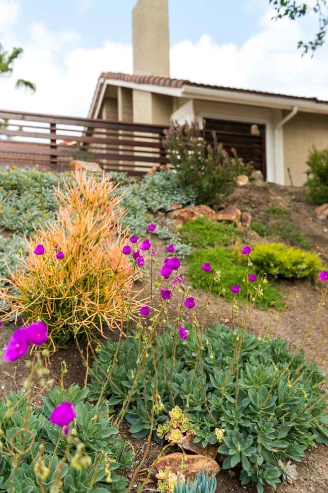 Carlsbad, Landscape Renovation by Barrels & Branches - Photo 10