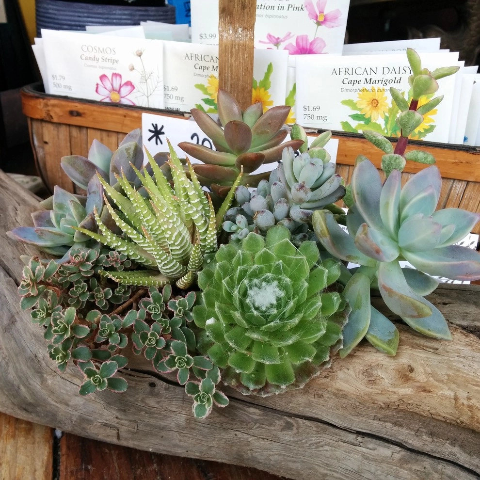 In The Nursery by Barrels & Branches - Photo 23