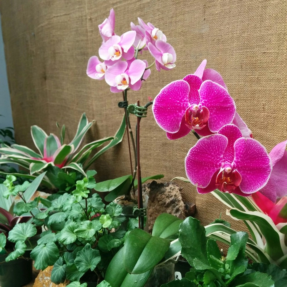 In The Nursery by Barrels & Branches - Photo 6