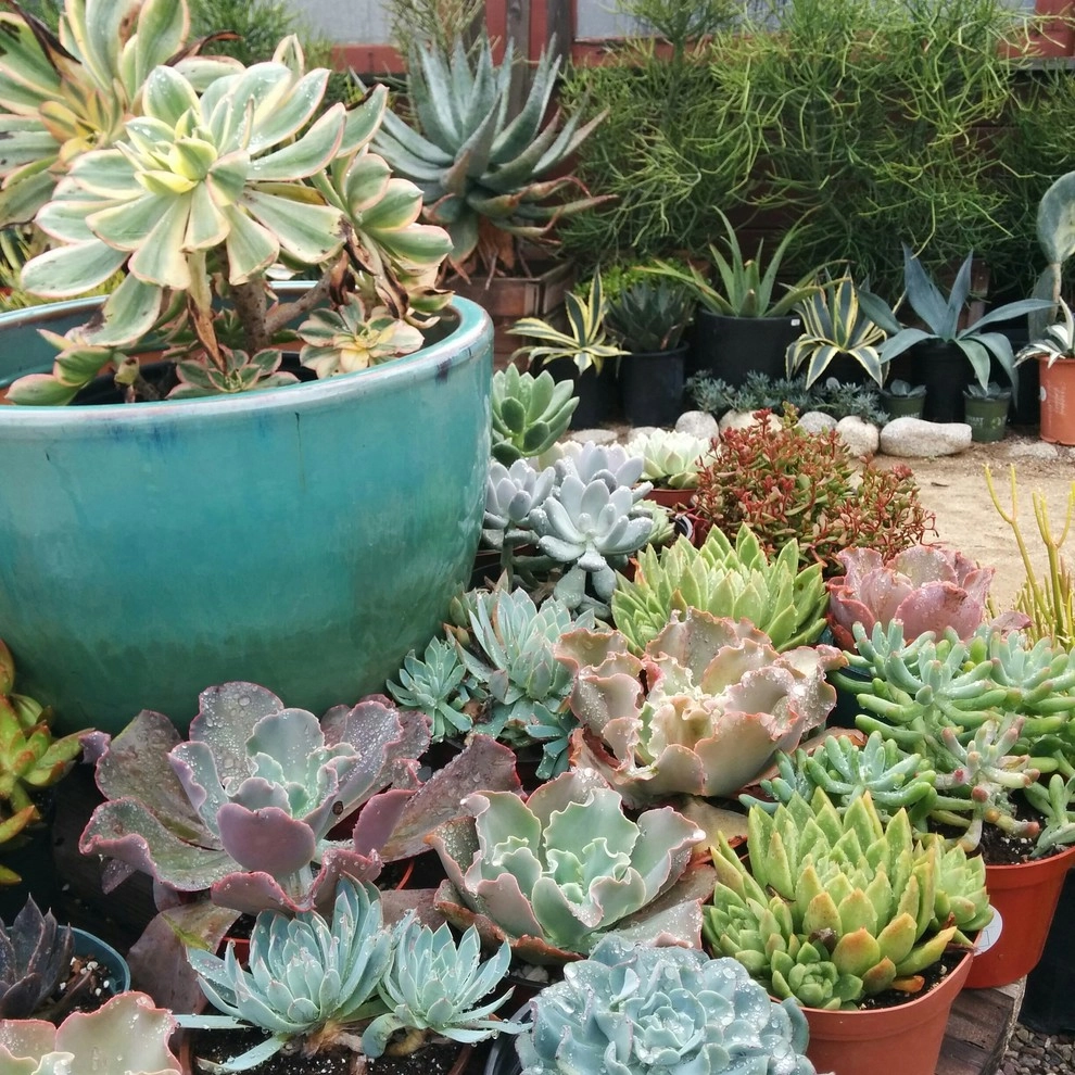 In The Nursery by Barrels & Branches - Photo 59