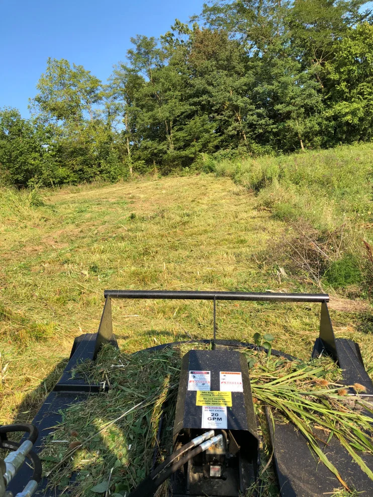 Vegetation Trimming by M&M Contracting - Photo 2
