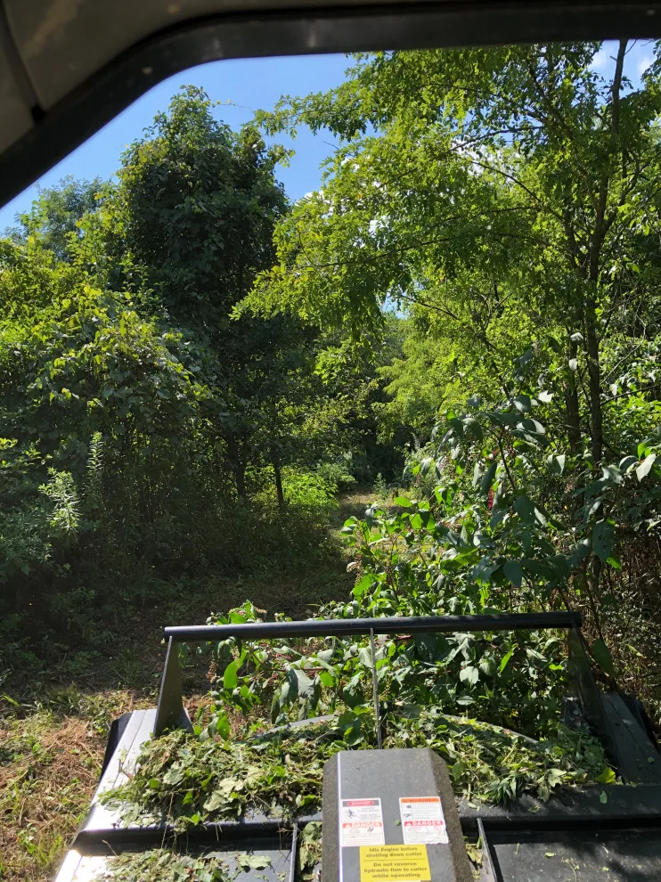 Vegetation Trimming by M&M Contracting - Photo 6