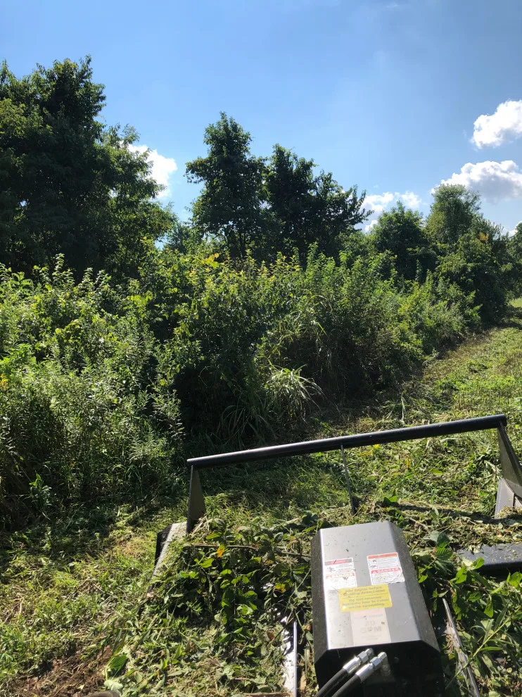 Vegetation Trimming by M&M Contracting - Photo 5
