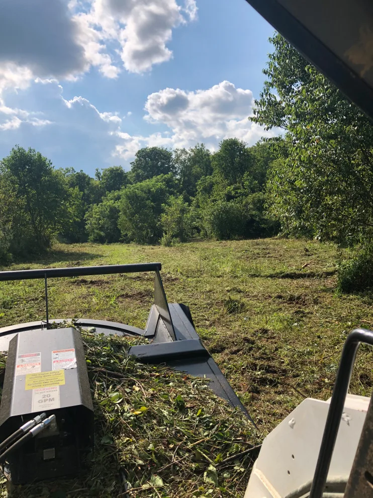 Vegetation Trimming by M&M Contracting - Photo 4